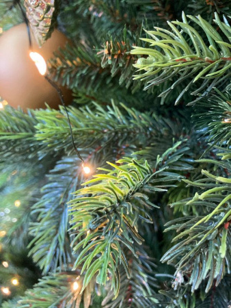 Елка "Кашемир" 